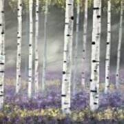 Birches In Spring Poster