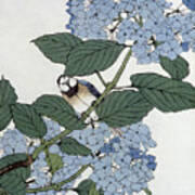 Bird In Hydrangeas, Vintage Japanese Botanical Print Poster