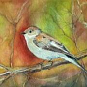 Bird On A Branche Poster