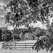 Black And White Country Barn In The Dogwoods Poster