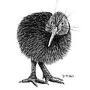 Black And White Kiwi Bird Of New Zealand Poster