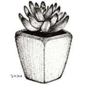 Black And White Succulent In Pot Poster