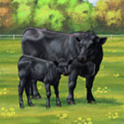 Black Angus Cow And Cute Calf In Summer Pasture Poster
