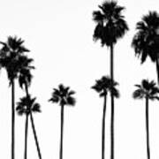 Black California Series - Palm Trees L.a Poster