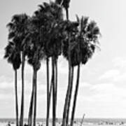 Black California Series - Venice Beach Alley Poster