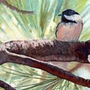 Black Capped Chickadees Poster