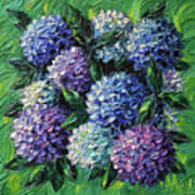 Blue And Purple Hydrangeas Poster