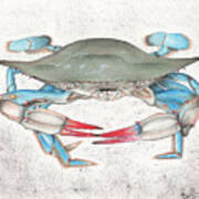 Blue Crab #1 Poster