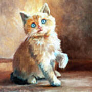 Blue Eyed Kitten Poster