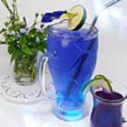 Blue Flower Drink Poster