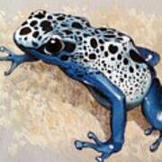 Blue Froggy Poster