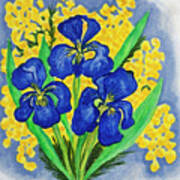 Blue Irises And Mimosa Poster