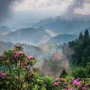 Blue Ridge Parkway Asheville Nc Moody Blooms Poster
