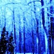 Blue Winter Photo 180 Poster