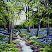 Bluebell Wood In Springtime Poster