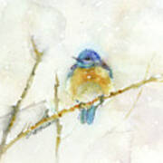 Bluebird In Snow Poster
