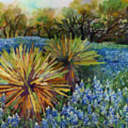 Bluebonnets And Yucca Poster