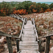 Boardwalk The Sandy Dune Autumn Forest Iii Poster