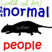 Boomtown Rats Normal People Poster