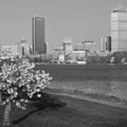 Boston Charles River On A Spring Day Black And White Poster