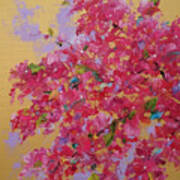 Bougainvillea On Gold Poster