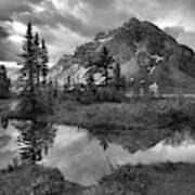 Bow Lake Wetlands Reflections Black And White Poster