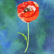 Bright Beautiful Red Poppy Flower Happy Wildflower On Blue Watercolor Iv Poster