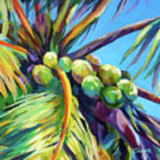 Bright Coconuts Square Poster