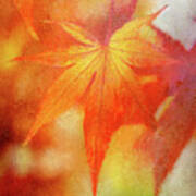 Bright Red Leaves Poster