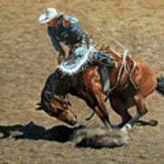 Bronc Rider 1 Poster