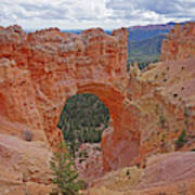 Bryce Canyon National Park - Window Poster