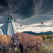 Buffalo Herd By Indian Tepees With Blackbirds Poster