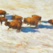 Buffalo Herd In Snow Poster