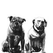 Bulldog Couple Poster