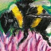 Bumble Bee On Flower Poster