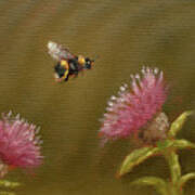Bumblebee Portrait W717 Poster