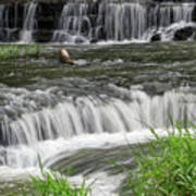 Burgess Falls 12 Poster