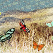 Butterflies At Dusk Poster