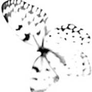 Butterfly Blanc - Minimal Abstract Black And White Poster