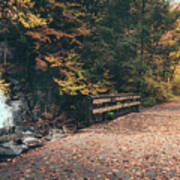 Buttermilk Falls And Dl Trail In Autumn Poster