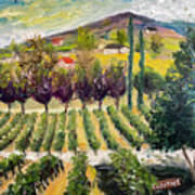 Cabernet Lot At Oak Mountain Winery Poster