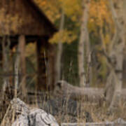 Cabin Series 1, Martis Creek Cabin Poster