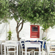 Cafe Under And Olive Tree Poster