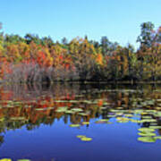 Calm Shallows Of The Key River In Fall Poster