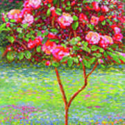 Camellia Passion Poster