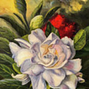 Camellia Poster