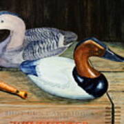 Canvasbacks Poster