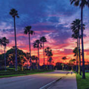 Captivating View Of Gardens Parkway, Palm Beach Gardens Florida Poster