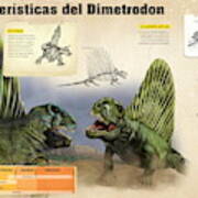 Caracteristicas Del Dimetrodon Poster