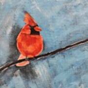 Cardinal On A Branch Poster